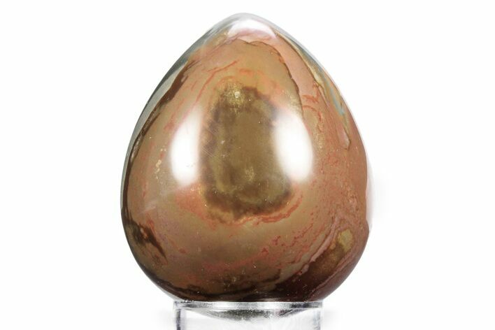 Polished Polychrome Jasper Egg - Madagascar #359029